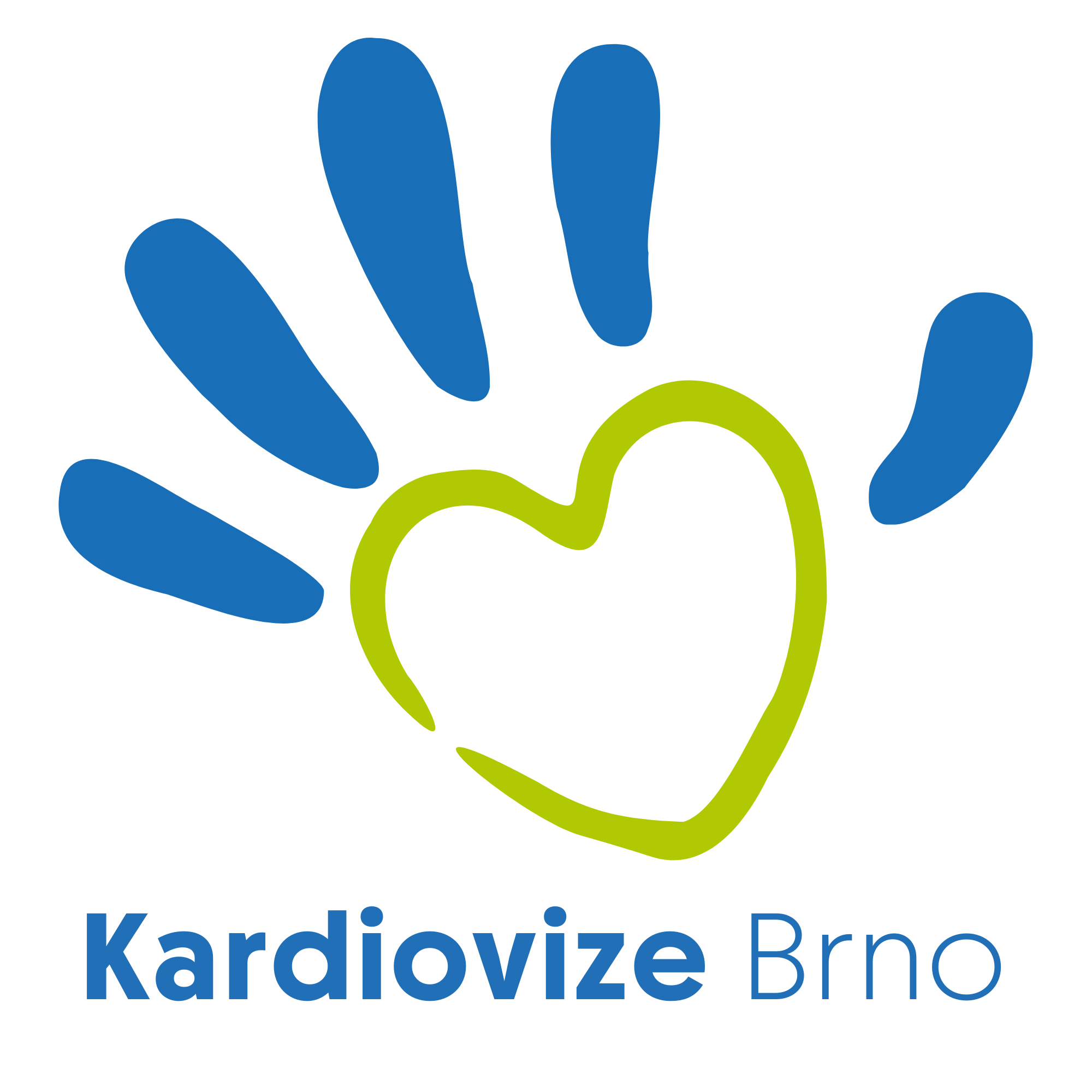 Kardiovize Brno